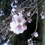 2010012214180001